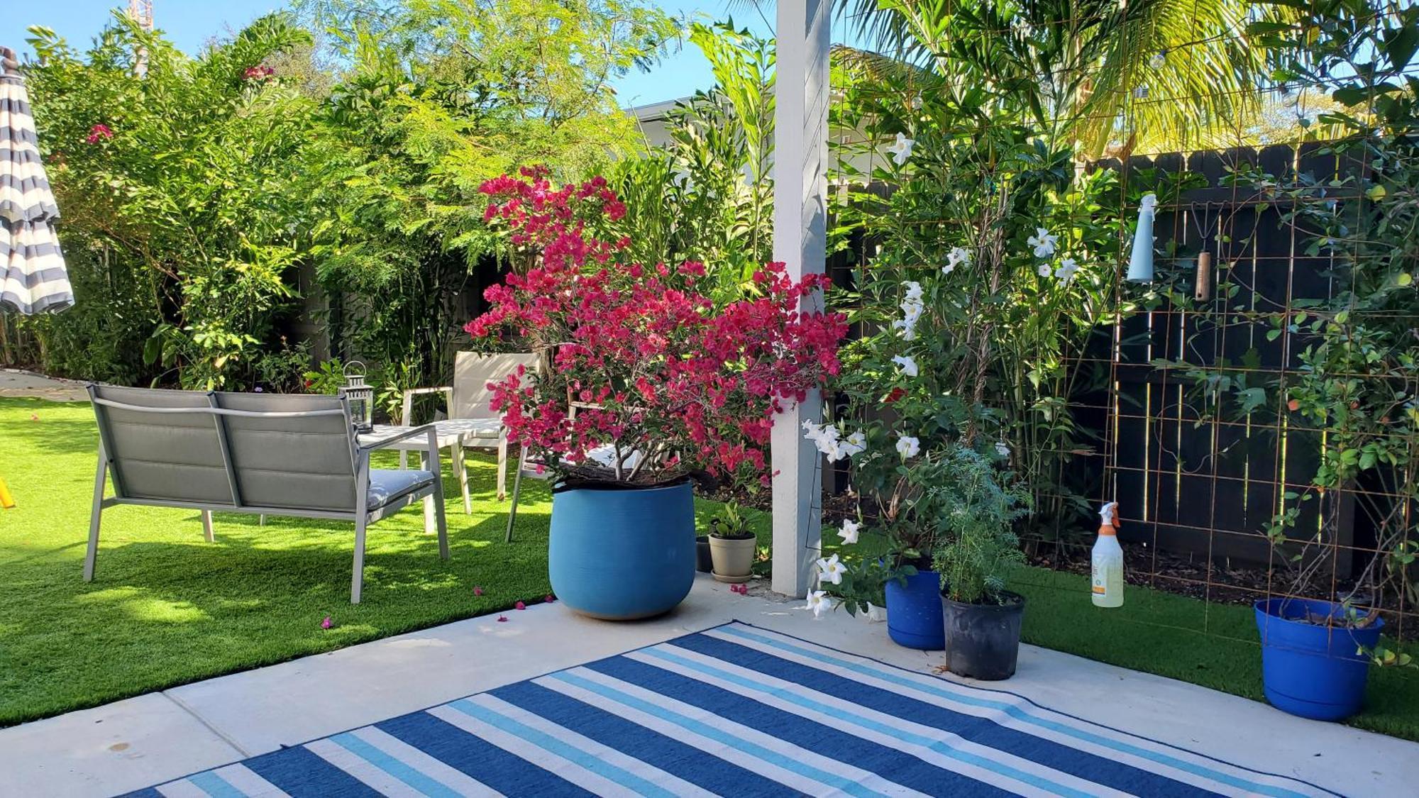 Apartment Casa Cuba In Little Havana, Brickell, Calle 8 And 10 Minutes To The Free Parking Miami
