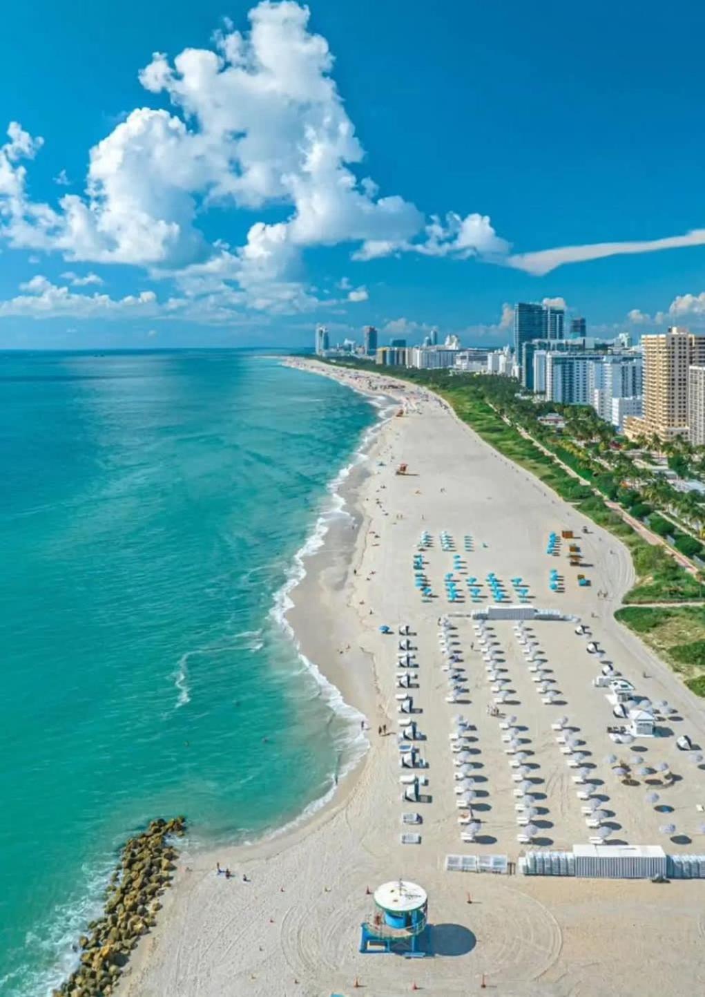 Huge Pool & Gym - Explore Miami's Heat Miami