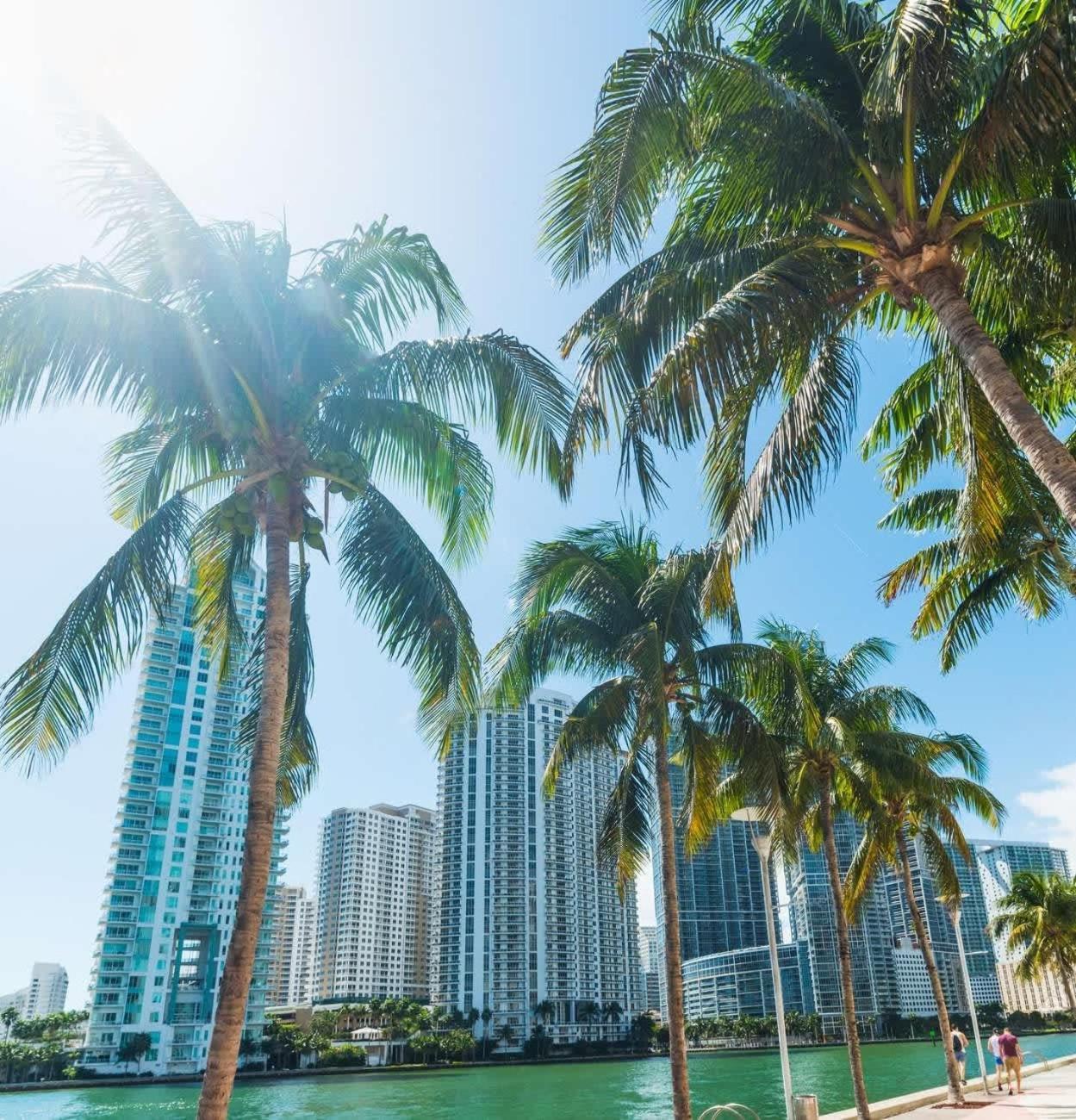 Apartment Huge Pool & Gym - Explore Miami's Heat Miami
