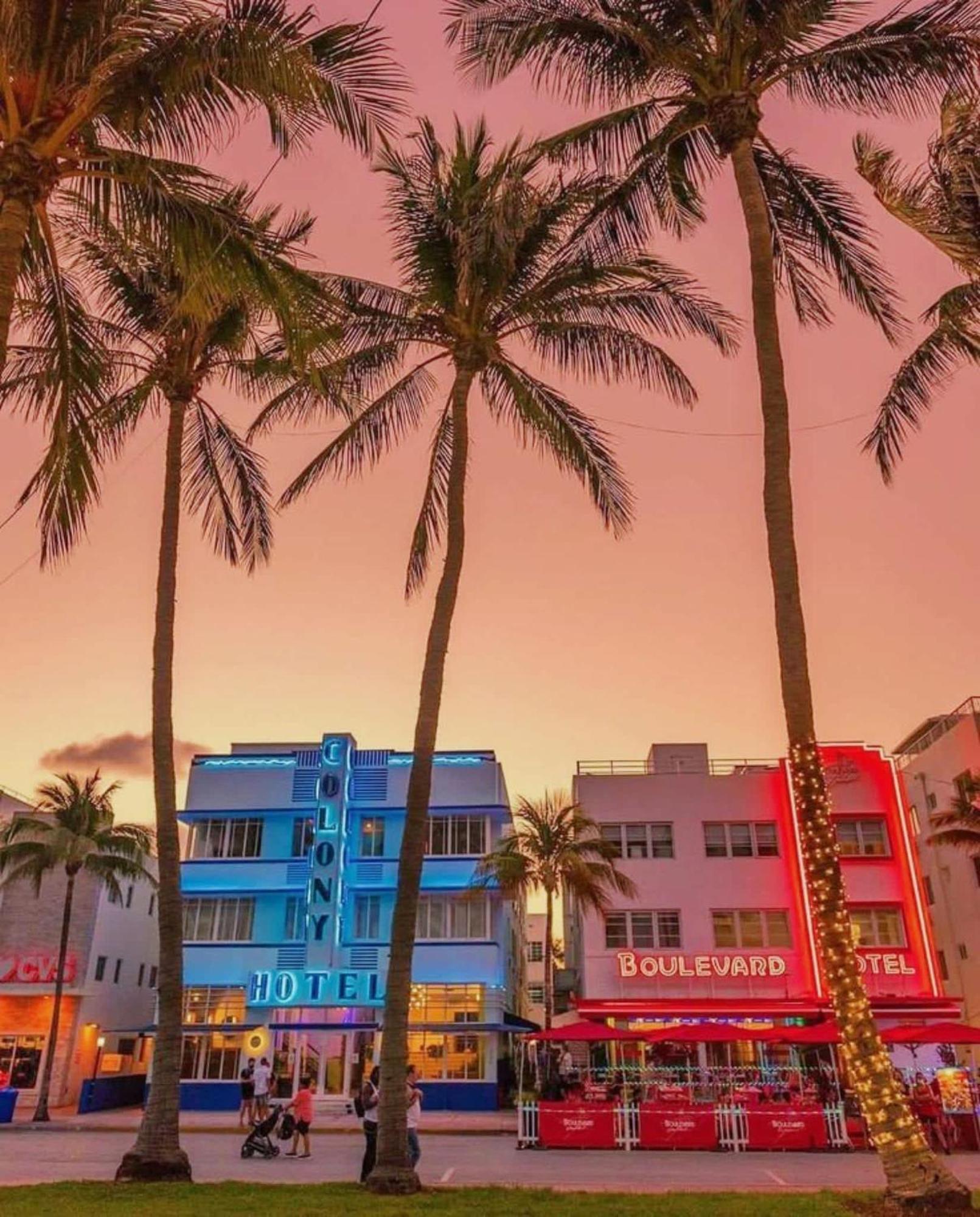 Huge Pool & Gym - Explore Miami's Heat *