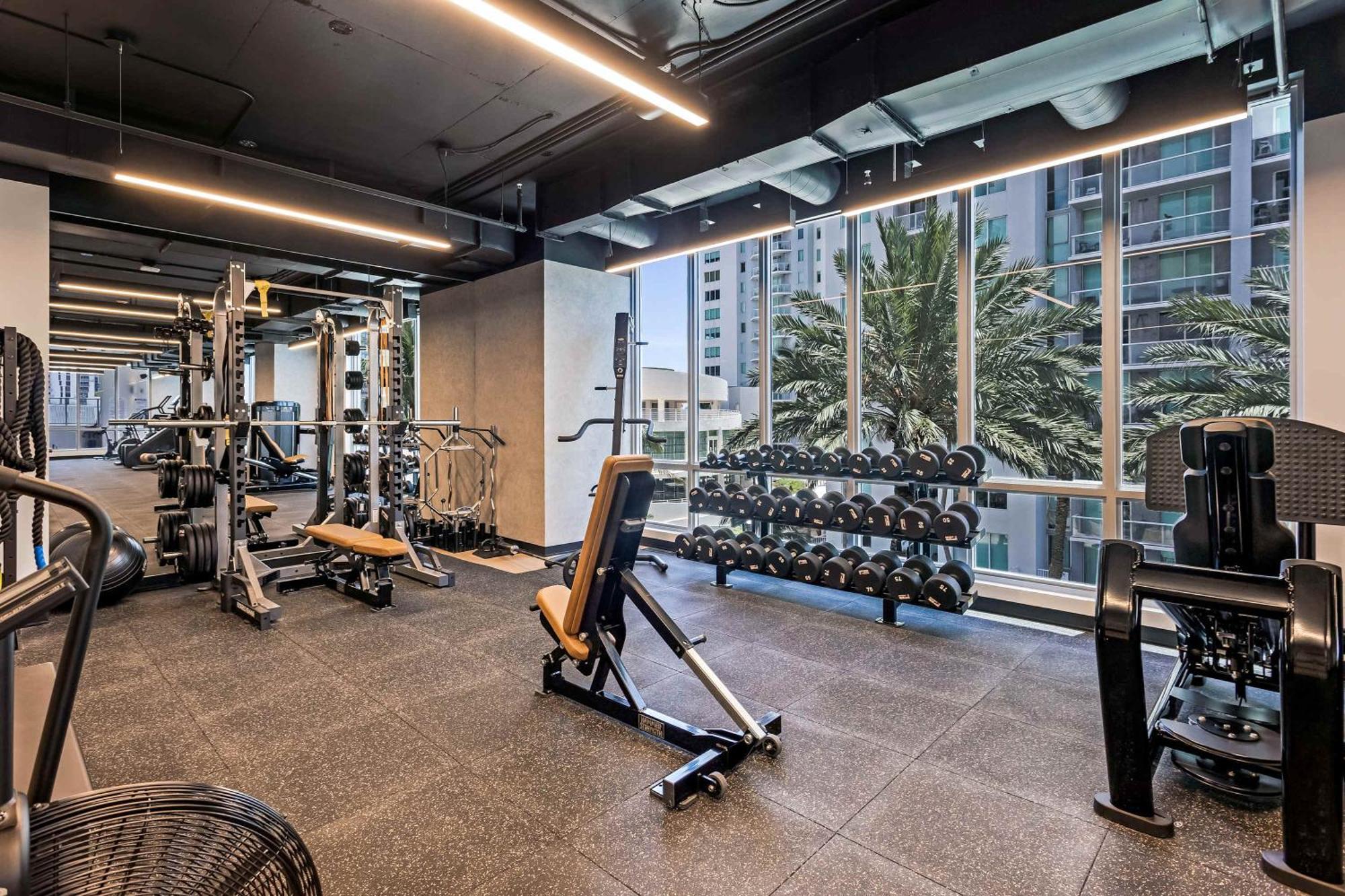 Huge Pool & Gym - Explore Miami's Heat Miami