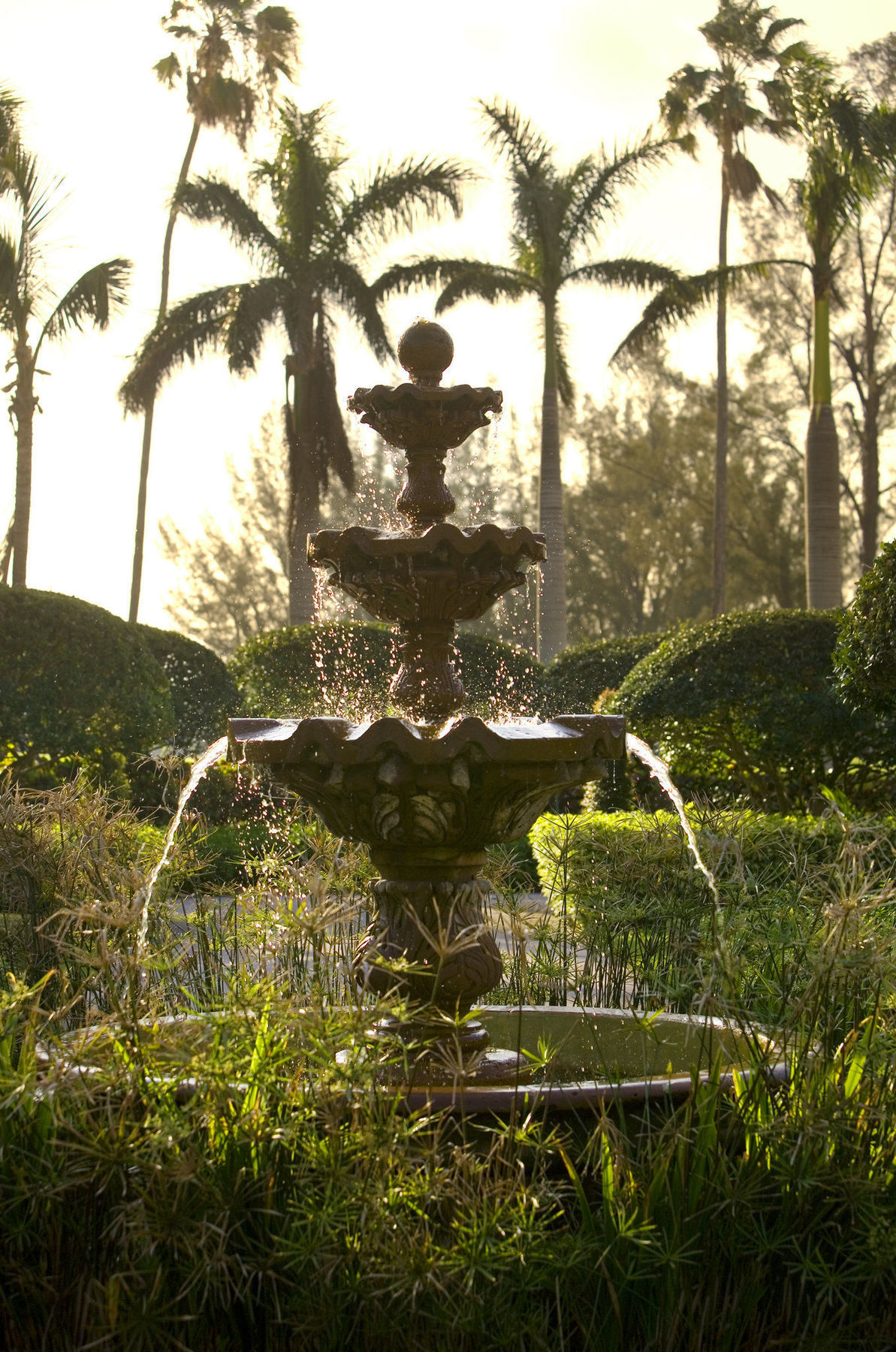 Biltmore Coral Gables Miami