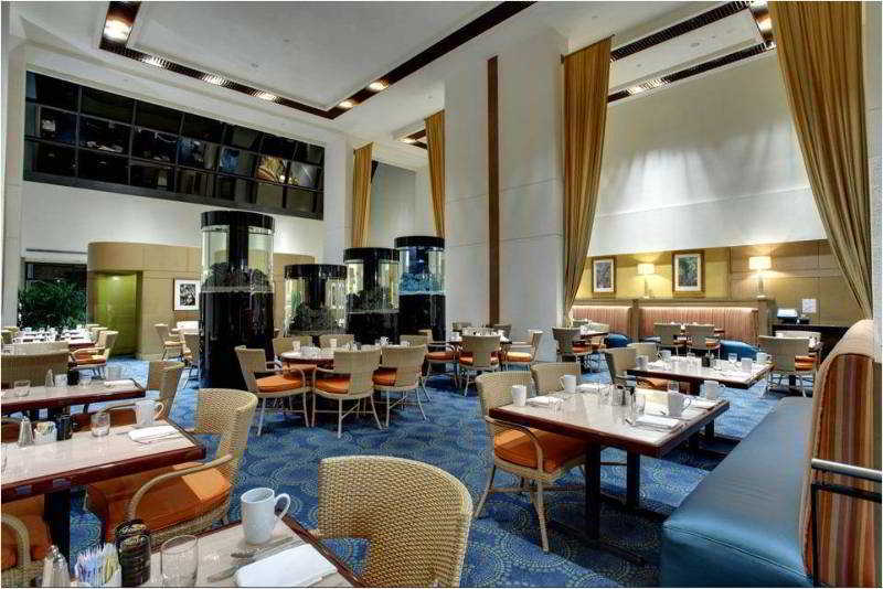 Hilton Airport Blue Lagoon Hotel 4*
